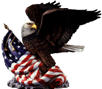 American Eagle and Flag