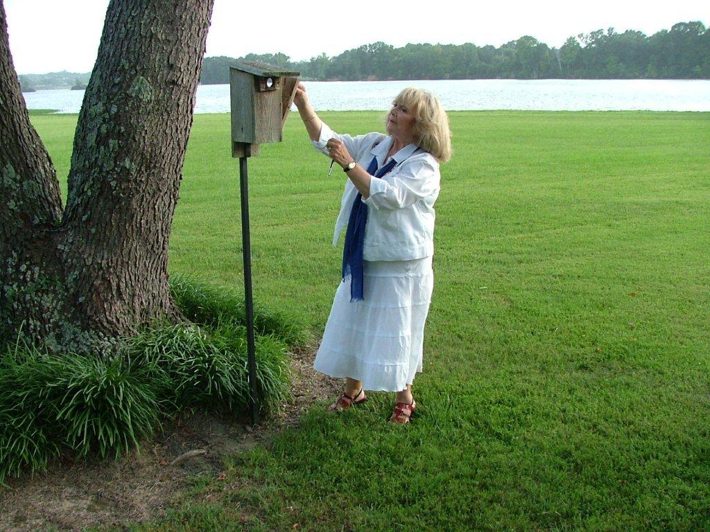 Our Regent Nancy Parker checking a bluebird box for eggs