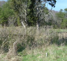 Breakbill Cemetery in 2009