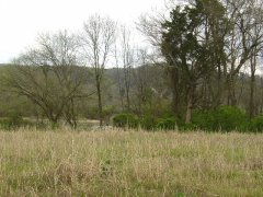 Trice Farm Cemetery