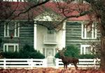 Davies Manor & Deer