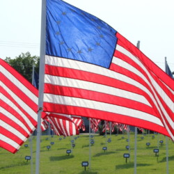 Field of Flags 2021