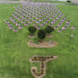 Field of Flags