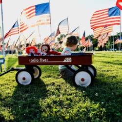 Boy in Field of Flags