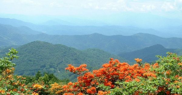 Buffalo Mountain Park, Johnson City, Tennessee