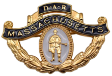 Massachusetts State DAR Pin