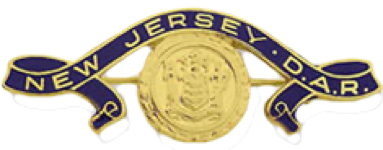 New Jersey State DAR Pin