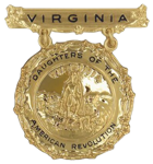 Virginia DAR State Pin