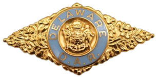 Delaware DAR State Pin